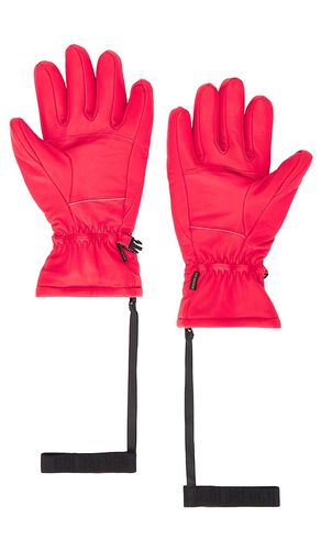 HANDSCHUHE FREEZE in . Größe 6.5. Also in 7 - Goldbergh - Modalova