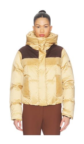 Rin Jacket in Tan. - size 34 (also in 36, 38, 40) - Goldbergh - Modalova