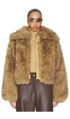 Nuku Jacket in . Taglia 34. Also in 36, 38, 40 - Goldbergh - Modalova