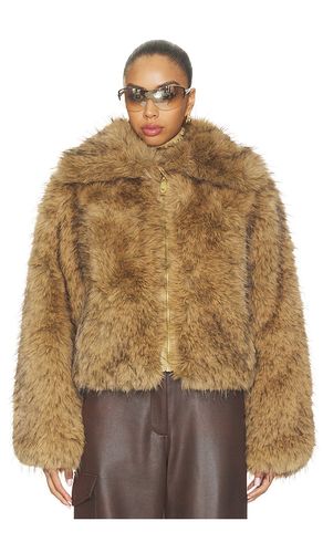 Nuku Jacket in . Taglia 34. Also in 36, 38, 40 - Goldbergh - Modalova