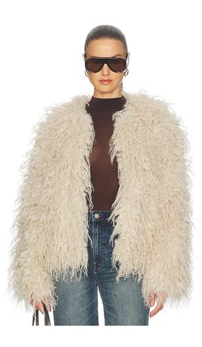 Yua Jacket in . Size 34. Also in 38, 40 - Goldbergh - Modalova
