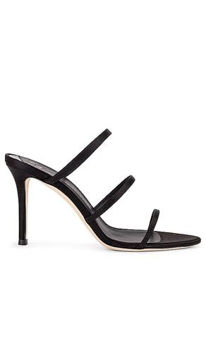 Clandestino 90 Sandal in . Size 38.5, 39.5 - Giuseppe Zanotti - Modalova