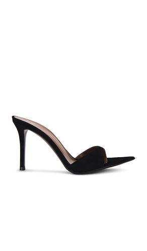 Tacón kanda en color talla 36.5 en - Black. Talla 36.5 (también en 36, 37, 37.5, 38) - Giuseppe Zanotti - Modalova