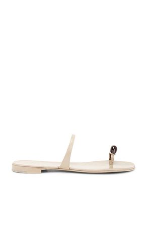 Ganass 10 Sandal in . - size 36 (also in 36.5, 37, 37.5, 38, 38.5) - Giuseppe Zanotti - Modalova