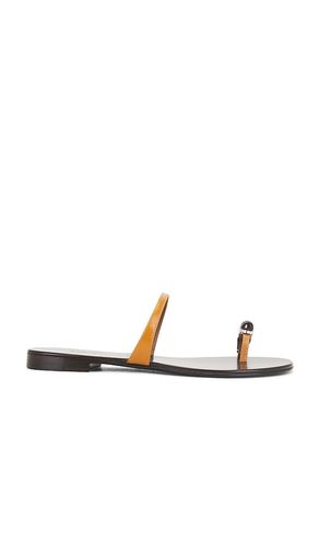 Ganass 10 Sandal in . - size 36 (also in 37, 38) - Giuseppe Zanotti - Modalova
