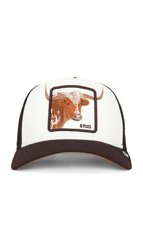 Over The Line Longhorn Hat in Brown - Goorin Brothers - Modalova