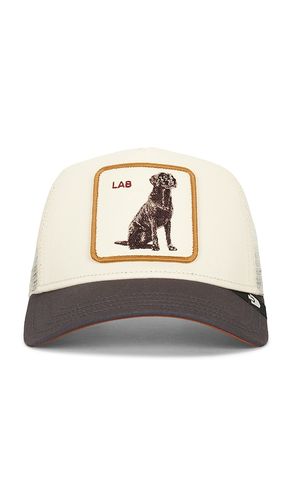 Shadow Lab Hat in Cream - Goorin Brothers - Modalova