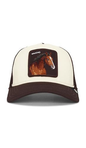 Gaucho Trucker Hat in Brown - Goorin Brothers - Modalova