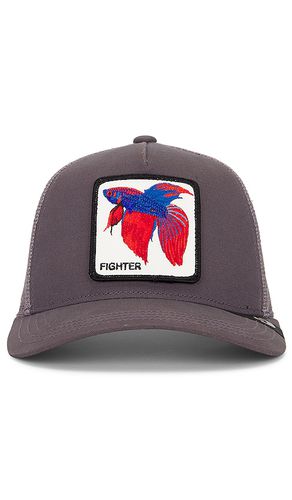 Alpha Betta Hat in - Goorin Brothers - Modalova