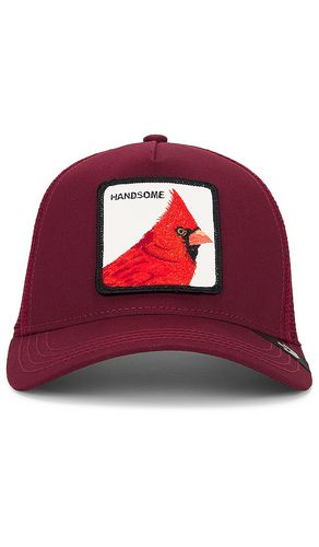 Handsome Hat in Burgundy - Goorin Brothers - Modalova