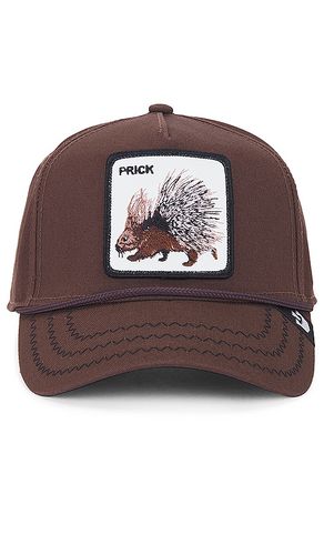 Porcupine Hat in Brown - Goorin Brothers - Modalova