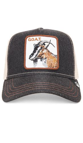 The Goat Hat in Black - Goorin Brothers - Modalova