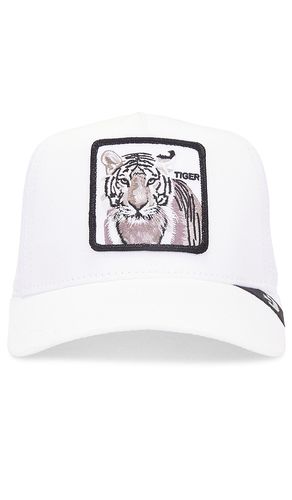 The Tiger Hat in - Goorin Brothers - Modalova