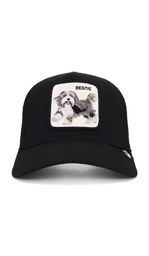 The Bestie Dog Hat in - Goorin Brothers - Modalova