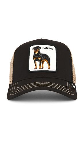 TRUCKERMÜTZE BAD BOY in - Goorin Brothers - Modalova