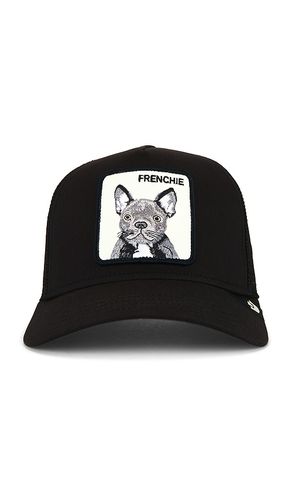 TRUCKERMÜTZE FRENCHIE in - Goorin Brothers - Modalova