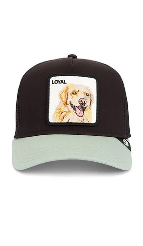 The Loyal Dog Trucker Hat in - Goorin Brothers - Modalova