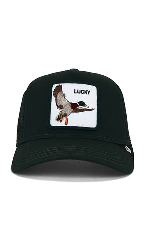 The Lucky Duck Trucker Hat in - Goorin Brothers - Modalova