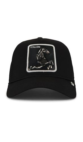 Stallion trucker hat in color black size all - Goorin Brothers - Modalova
