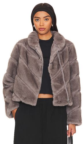 Cici Faux Fur Jacket in . Size M, XL, XS - Generation Love - Modalova