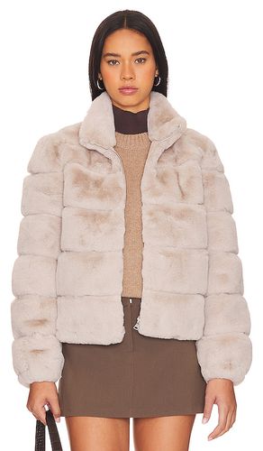 Jodi Faux Fur Jacket in . Size XL, XS - Generation Love - Modalova