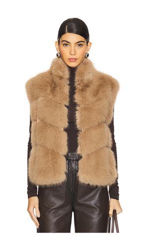 Rosario Faux Fur Vest in . Size M, S, XL, XS - Generation Love - Modalova