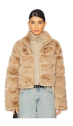 Tala Faux Fur Jacket in Tan. - size L (also in M, S, XL, XS) - Generation Love - Modalova