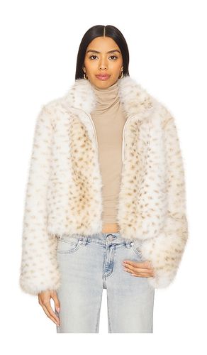 Georgina Leopard Faux Fur Jacket in Multi. - size L (also in M, S, XXS) - Generation Love - Modalova