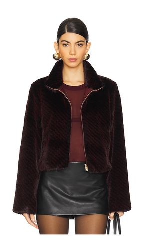 Roxi Faux Fur Jacket in . - size L (also in M, S, XL) - Generation Love - Modalova