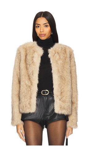 Lucas Faux Fur Jacket in Beige. - size L (also in XL, XXL) - Generation Love - Modalova