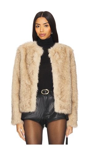 Lucas Faux Fur Jacket in . Taglia XL, XS - Generation Love - Modalova