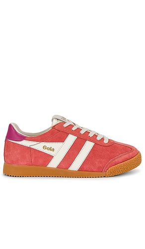 Elan Sneaker in Coral. - size 11 (also in 5, 6, 6.5, 7, 7.5, 8, 9) - Gola - Modalova