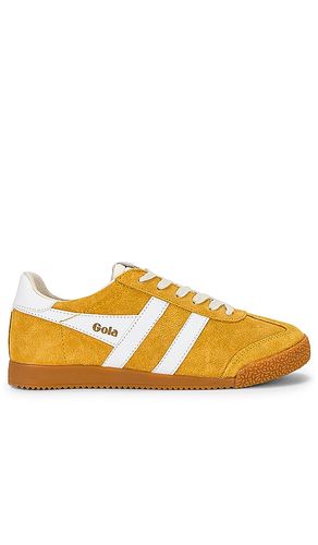 Elan Sneaker in Mustard. - size 11 (also in 10, 5, 6, 6.5, 7, 7.5, 8, 8.5, 9, 9.5) - Gola - Modalova