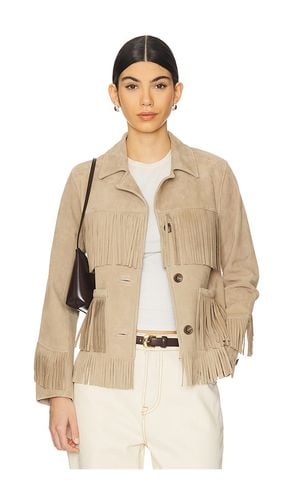 Joni Suede Fringe Jacket in . Size M, S, XL, XS, XXS - GRLFRND - Modalova