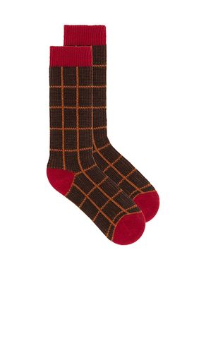 SOFT SOCK CHECKER in - Guest In Residence - Modalova