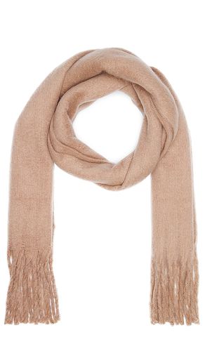 Hat Attack Chic Solid Scarf in Tan - Hat Attack - Modalova