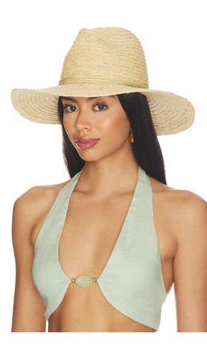 FEDORA HUT RAFFIA BRAID CONTINENTAL in - Hat Attack - Modalova