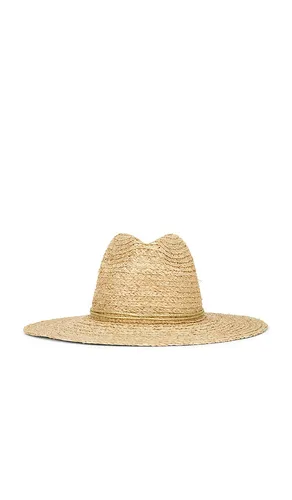 Raffia Braid Continental Fedora Hat in Neutral - Hat Attack - Modalova