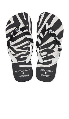 X Dolce & Gabbana Zebra Sandal in . Size 39/40 - Havaianas - Modalova
