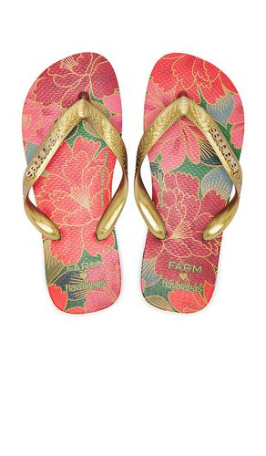 Farm Rio Red Florals Sandal in Orange. - size 35/36 (also in 37/38, 39/40, 41/42) - Havaianas - Modalova