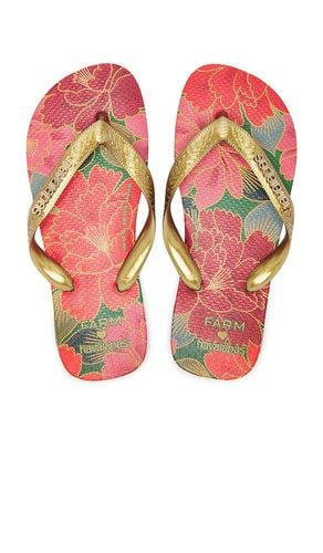 Farm Rio Red Florals Sandal in Orange. - size 35/36 (also in 37/38) - Havaianas - Modalova