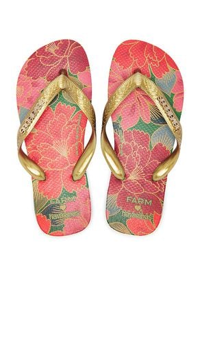 Farm Rio Red Florals Sandal in . Taglia 37/38, 41/42 - Havaianas - Modalova