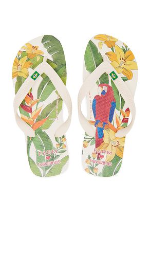 Farm Rio Parrot and Floral Sandal in Cream. - size 35/36 (also in 37/38) - Havaianas - Modalova