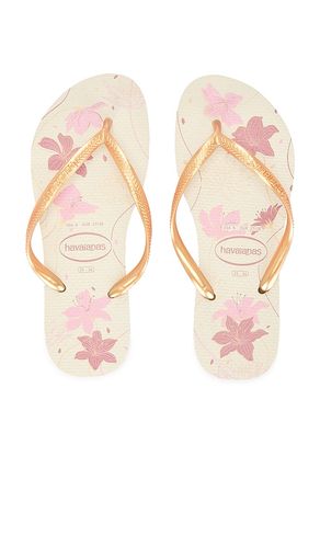 Slim Organic Sandal in Cream. - size 35/36 (also in 37/38, 39/40, 41/42) - Havaianas - Modalova