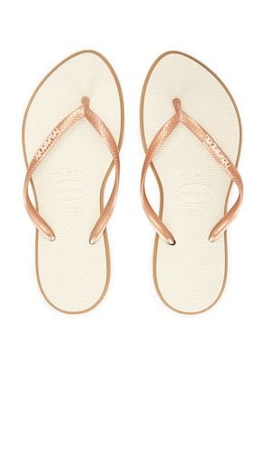 Slim Point Sandal in . Size 39/40, 41/42 - Havaianas - Modalova