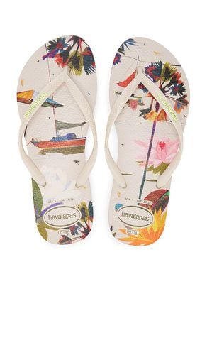 Chanclas en color talla 35/36 en - . Talla 35/36 (también en 37/38, 39/40, 41/42) - Havaianas - Modalova