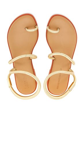 Una Pitanga Eur Sandal in Metallic Gold. - size 35 (also in 37, 39, 40) - Havaianas - Modalova