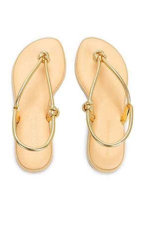 SANDALE UNA AA in . Größe 36. Also in 37 - Havaianas - Modalova