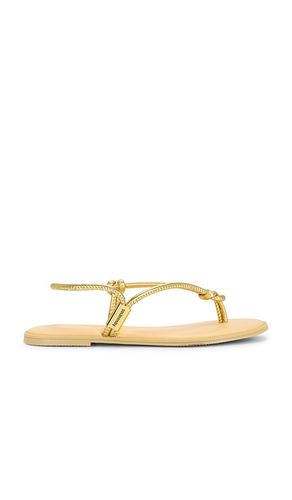 SANDALE UNA AA in . Größe 36. Also in 37 - Havaianas - Modalova