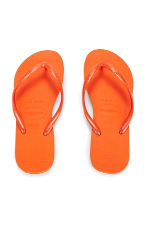 SANDALE SLIM in . Größe 35/36. Also in 39/40 - Havaianas - Modalova